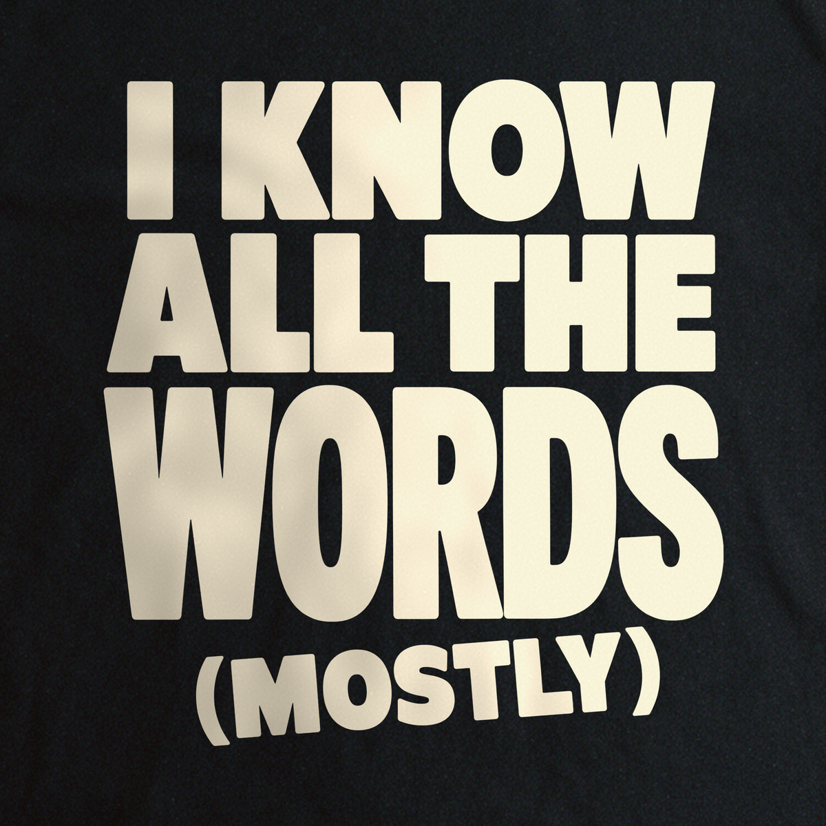 I Know All the Words (Mostly) Tee - Black close-up print