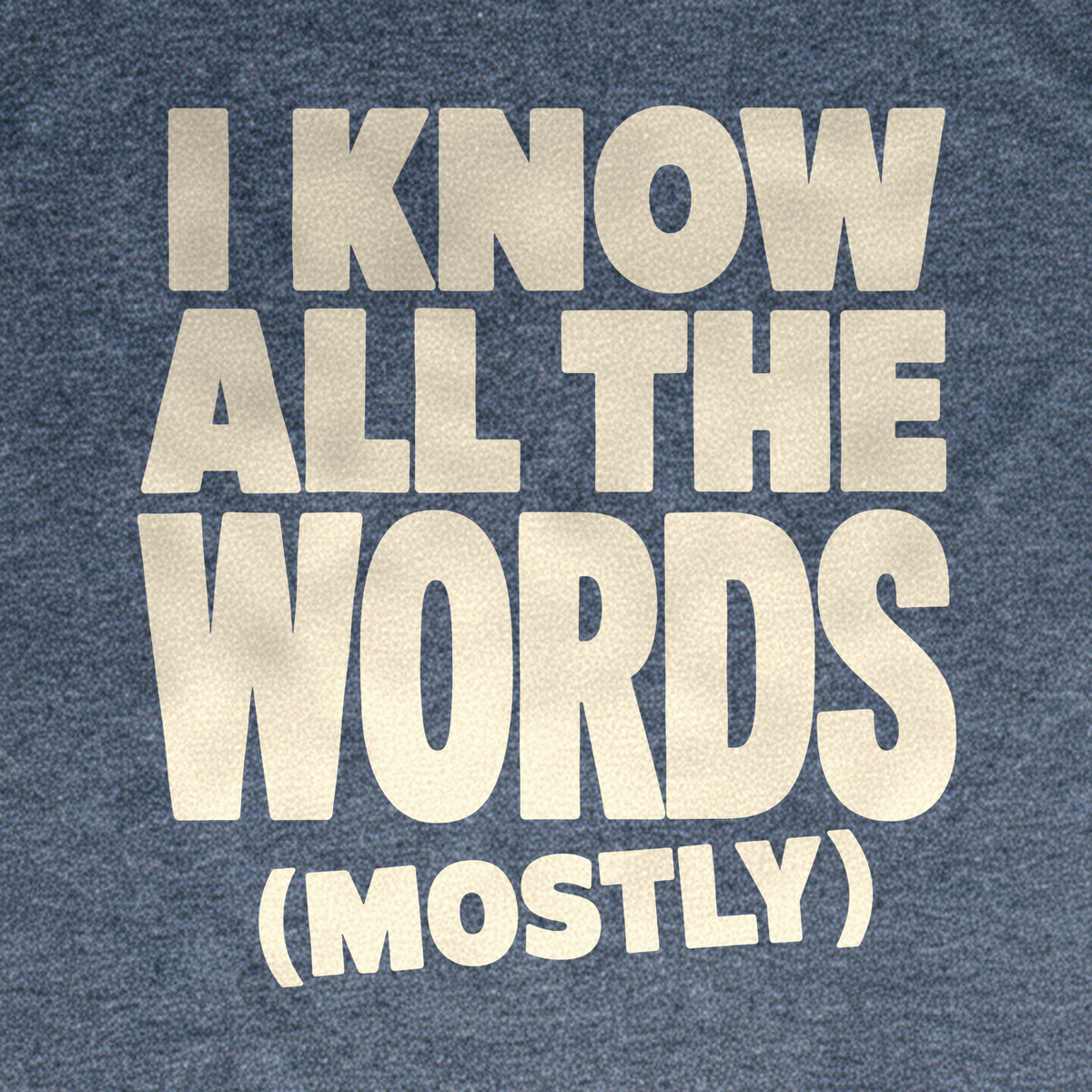 I Know All the Words (Mostly) Tee - Dark Heather Grey close-up print