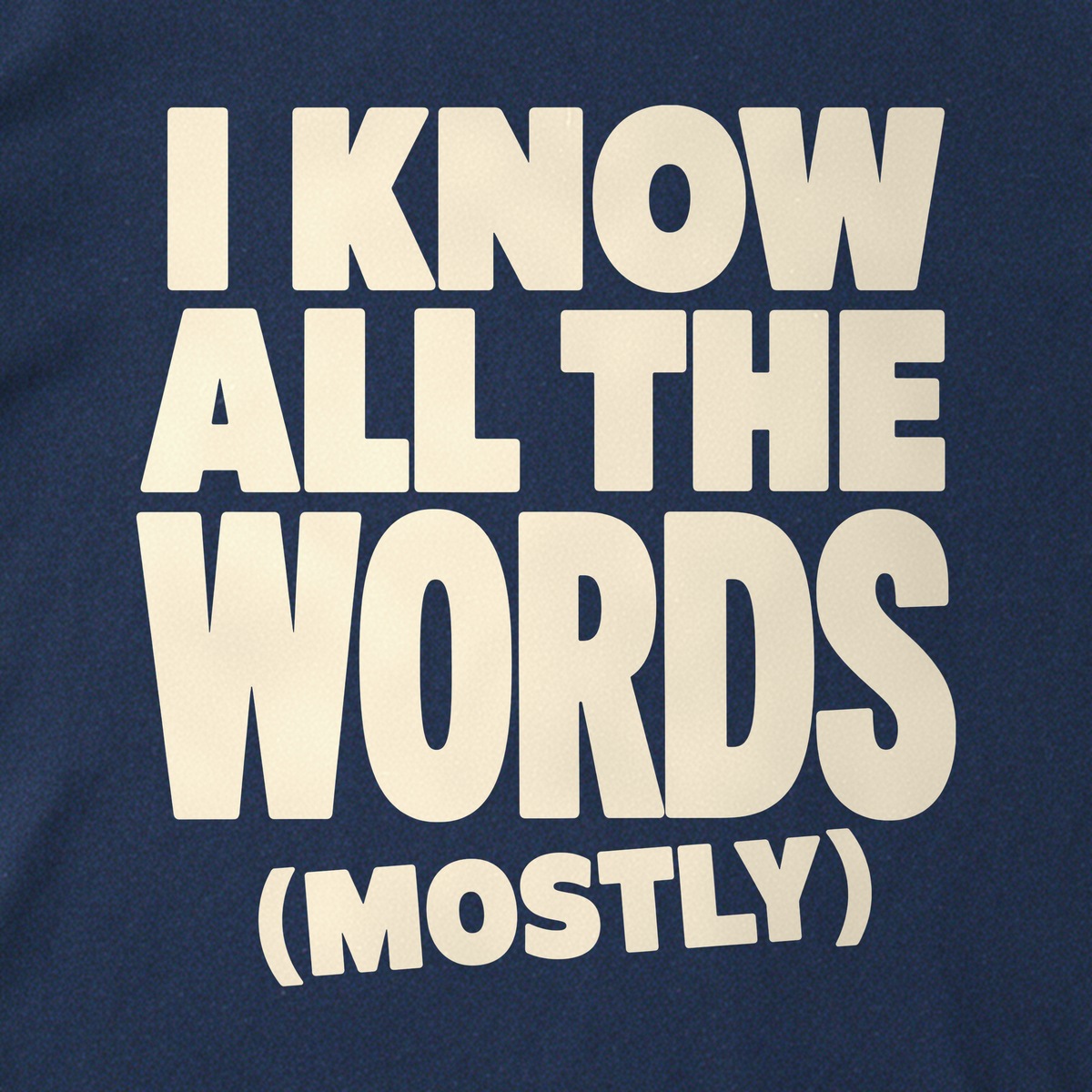 I Know All the Words (Mostly) Tee - Navy close-up print