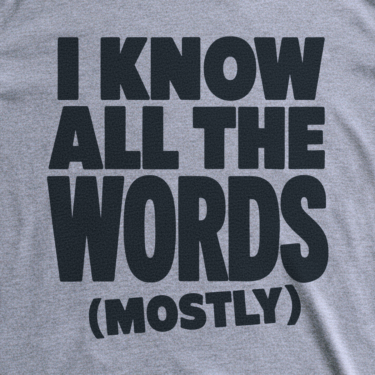 I Know All the Words (Mostly) Tee - Sport Grey close-up print