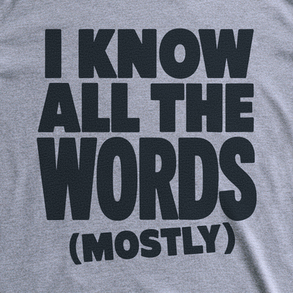 I Know All the Words (Mostly) Tee - Sport Grey close-up print