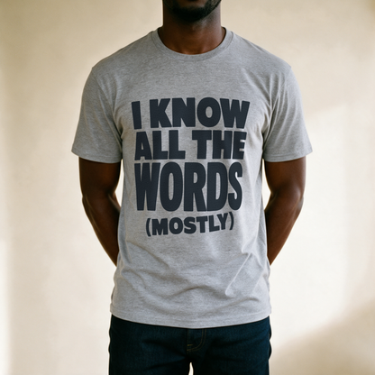 I Know All the Words (Mostly) Tee - Sport Grey draagfoto